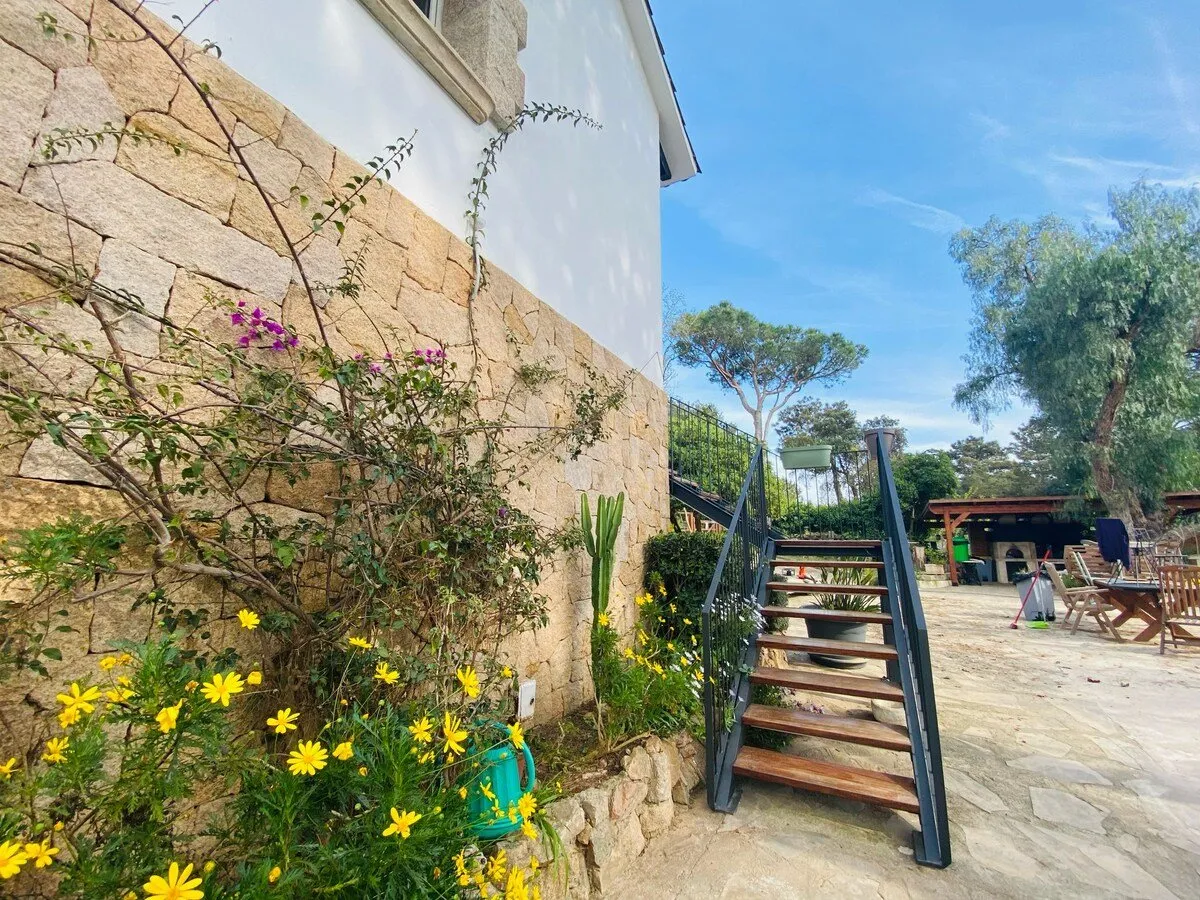 El muro de piedra de la casa con la buganvilla en flor