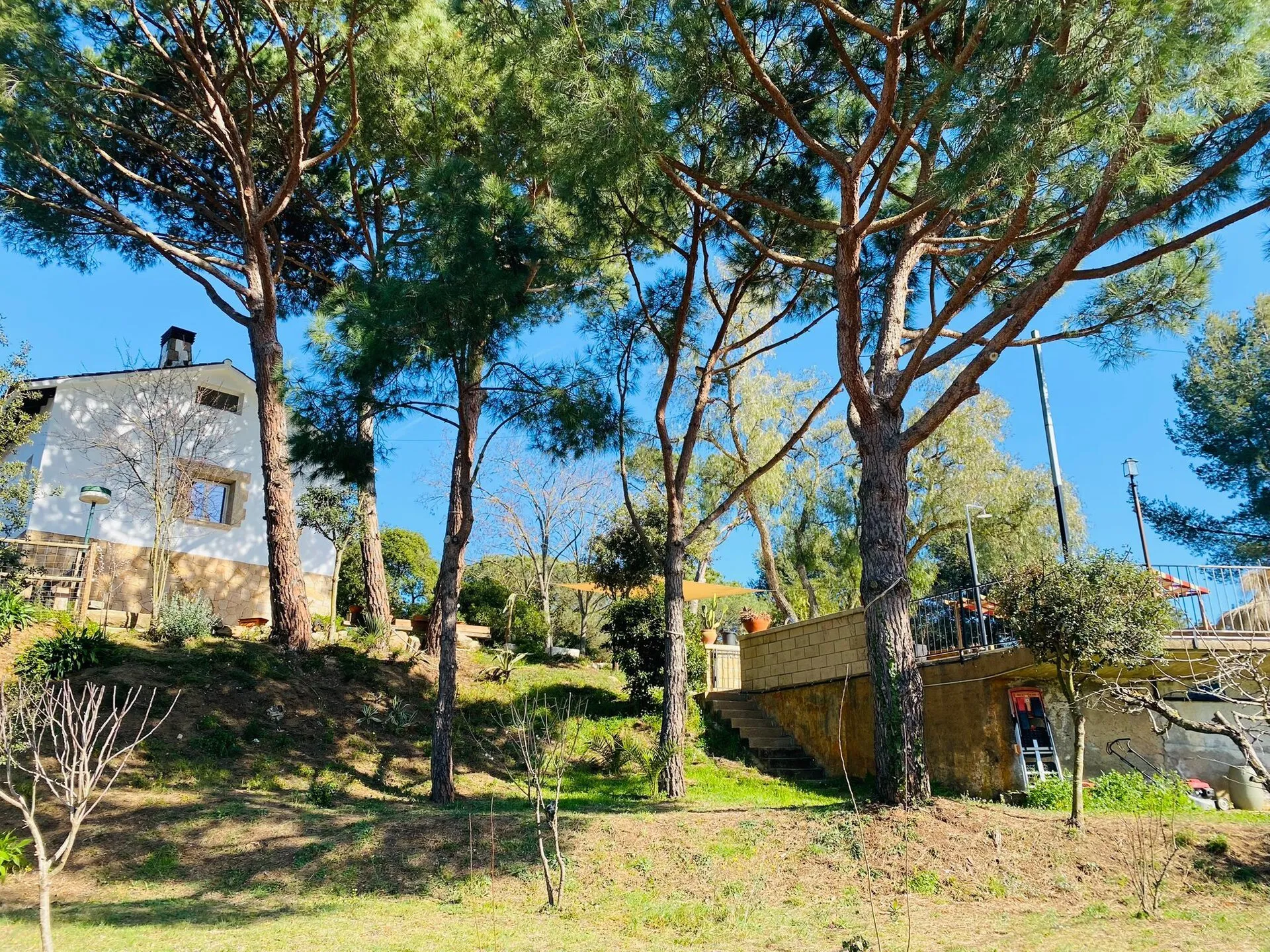 La casa de la finca en lo alto, entre los pinos