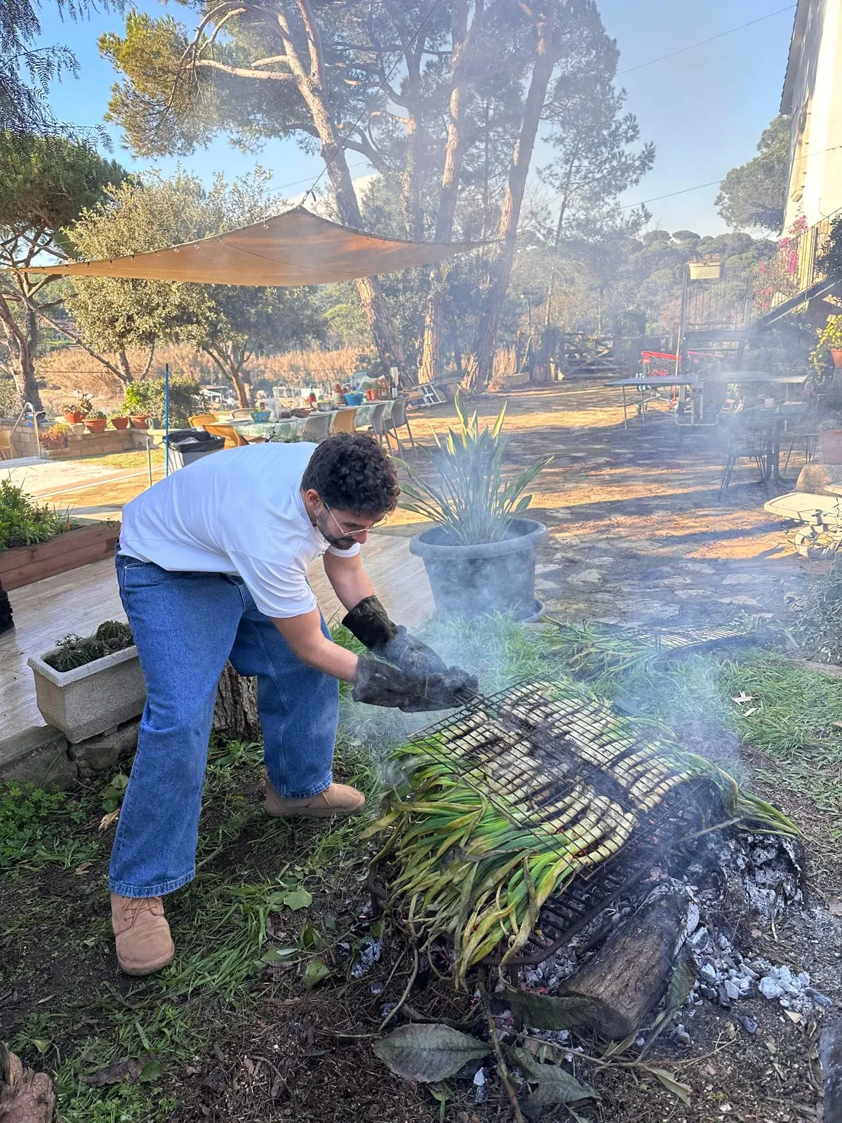 Los calçots asándose sobre la llama en la parrilla de la finca