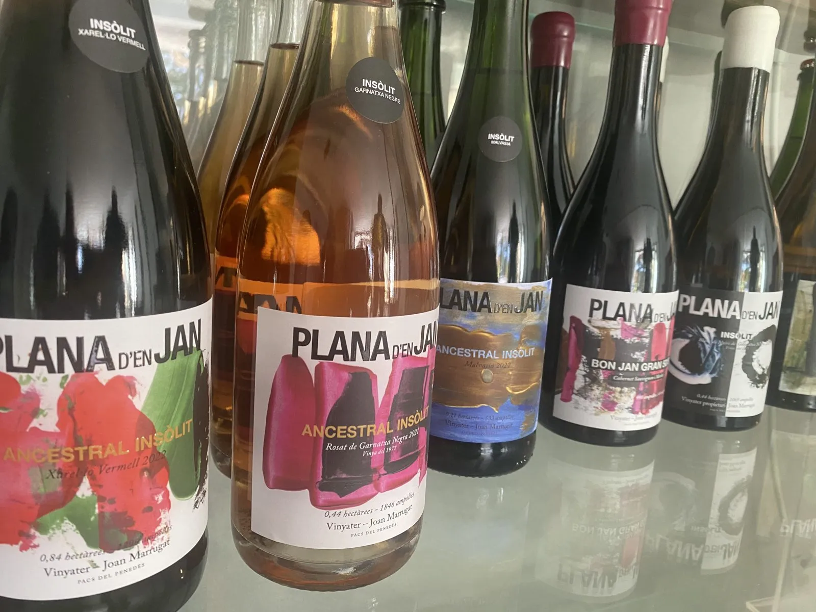 Botellas de vino de Plana d'en Jan